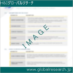 グローバルリサーチ調査レポートのイメージ